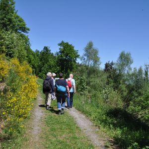 Bernbacher-Spaziergang am 4. Mai 2022