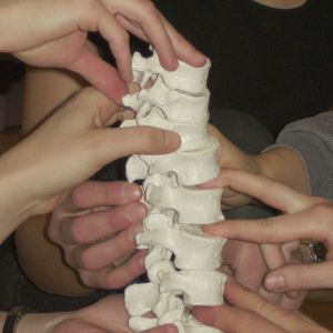 Franklin-Methode, Yoga, Musik für Kinder im Studio Rhythmik Karlsruhe - Wirbel aufeinander getürmt mit Fingern anstatt Bandscheiben