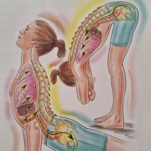 Franklin-Methode, Yoga, Musik für Kinder im Studio Rhythmik Karlsruhe_das Gleiten der Organe imaginieren macht die Bewegung geschmeidiger,