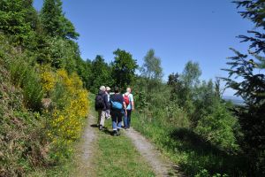 Bernbacher-Spaziergang am 4. Mai 2022