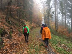 Bernbacher-Spaziergang im Herbst am 13. November 2022
